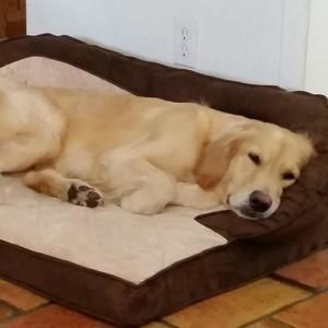 Meet your Posher, Stan